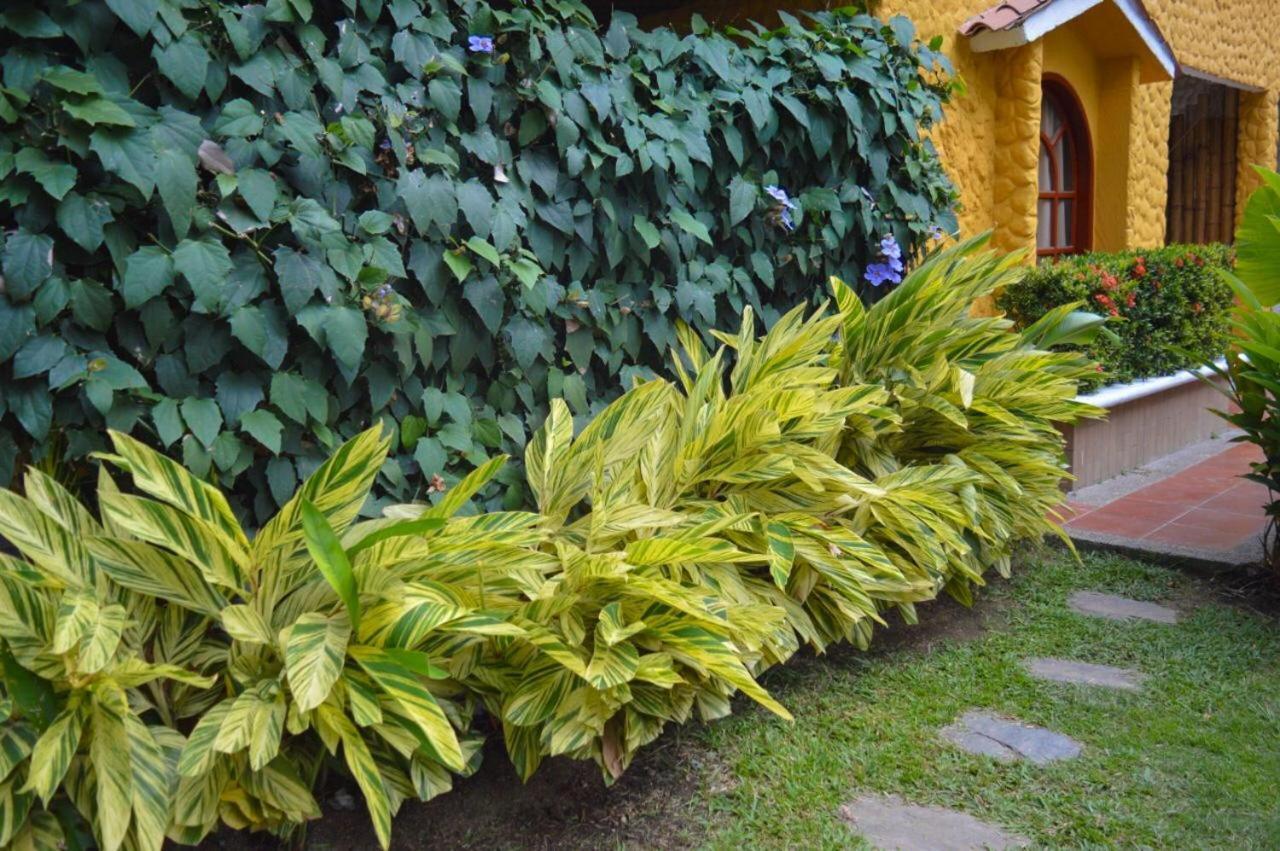 Eco Hostal Kuima 엘 자이노 외부 사진
