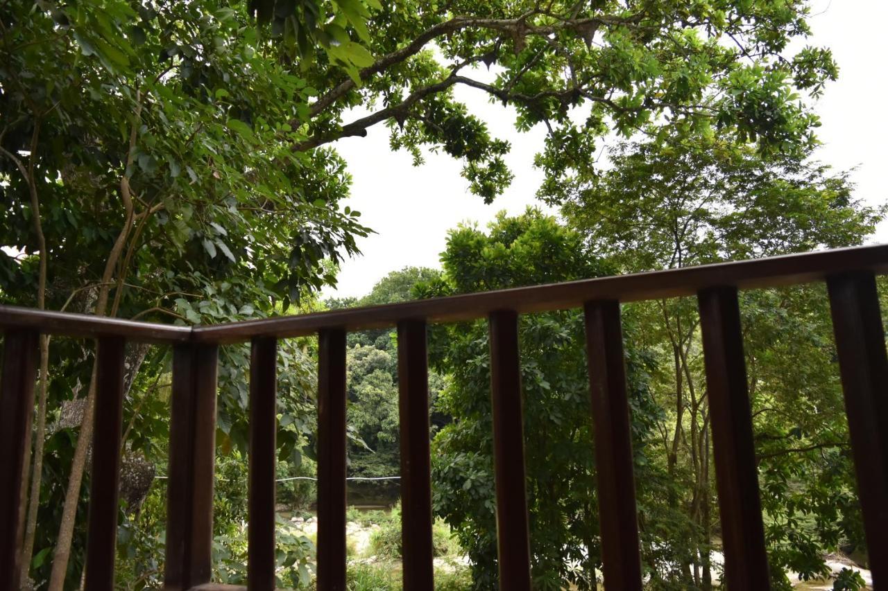 Eco Hostal Kuima 엘 자이노 외부 사진